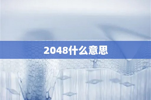 2048什么意思