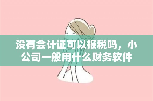 没有会计证可以报税吗，小公司一般用什么财务软件