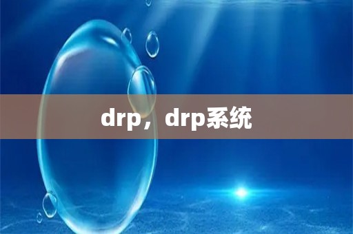 drp，drp系统