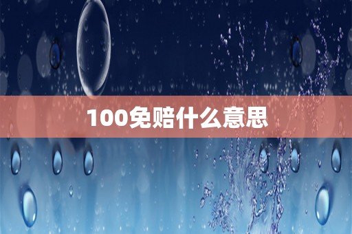 100免赔什么意思