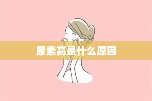 尿素高是什么原因