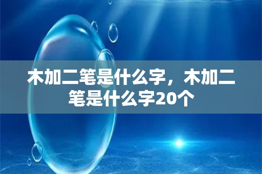 木加二笔是什么字，木加二笔是什么字20个