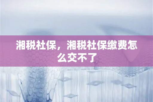 湘税社保，湘税社保缴费怎么交不了