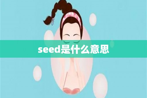 seed是什么意思