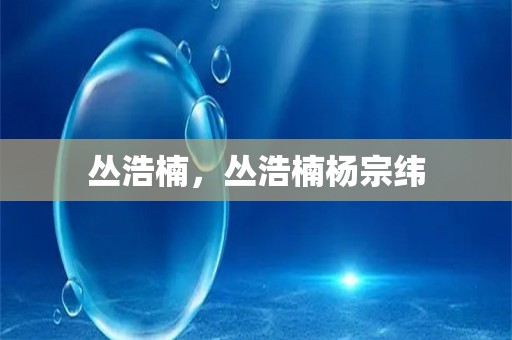 丛浩楠，丛浩楠杨宗纬