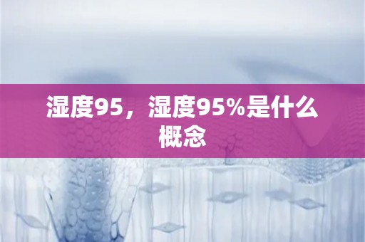 湿度95，湿度95%是什么概念