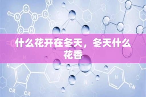 什么花开在冬天，冬天什么花香